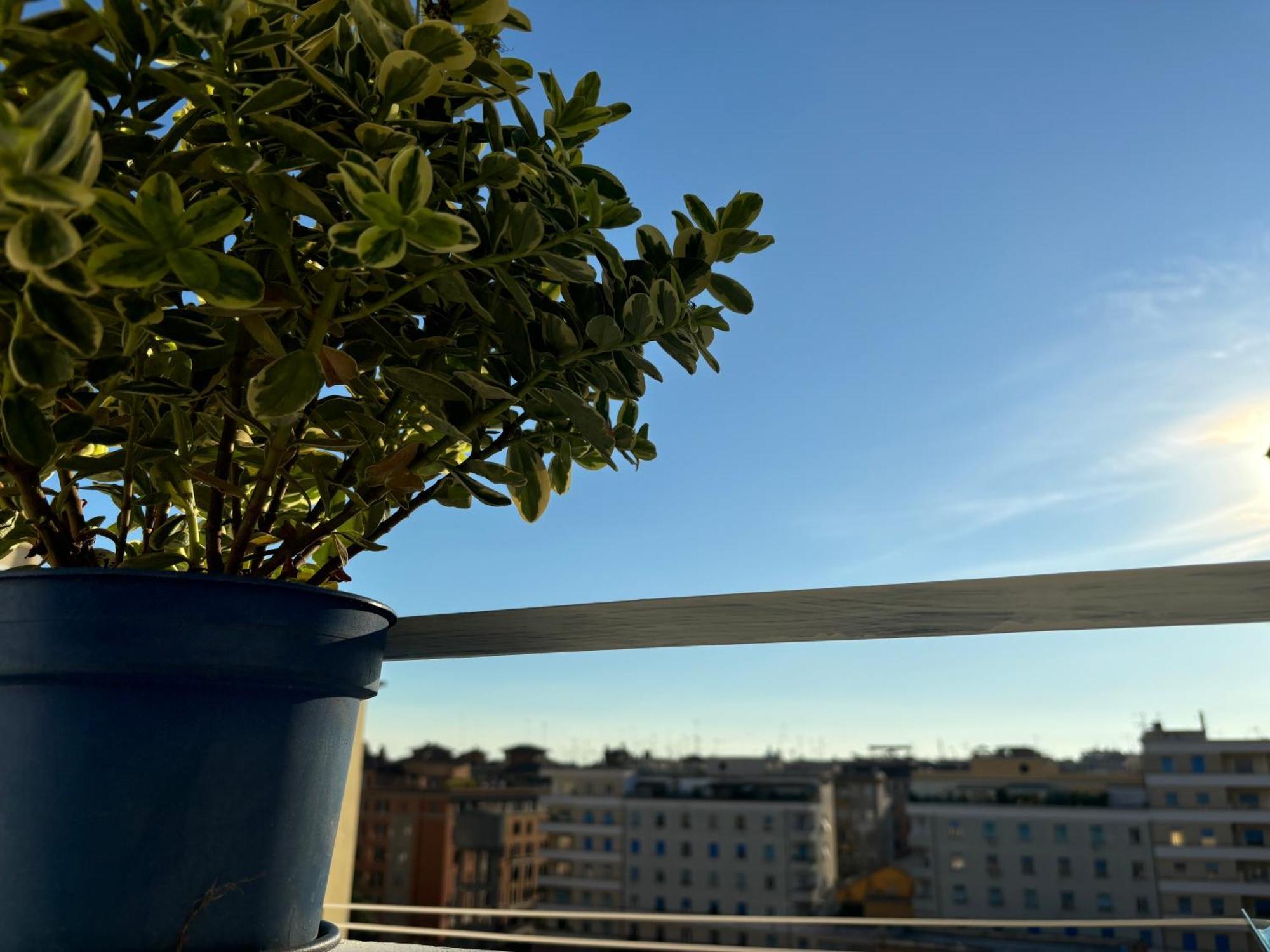 Living Flaminio - Ad Uso Turistico Gasthof *